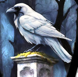 Coffin shaped Art - White Raven