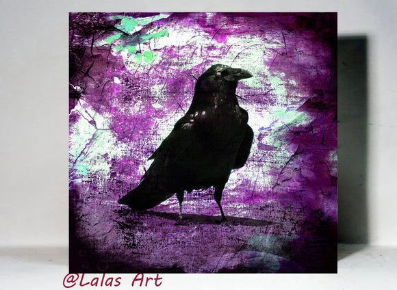 Raven - Lala's Art