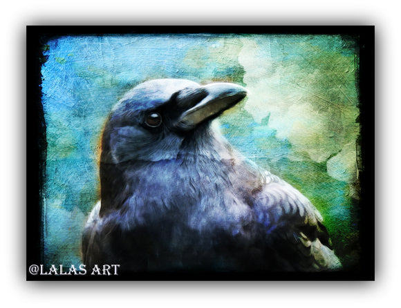 Crow -Painting - Art - Lala's Art