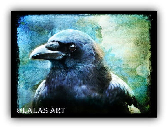 Crow -Painting - Art - Lala's Art