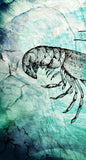 Sea creature Lobster Painting - Lala's Art